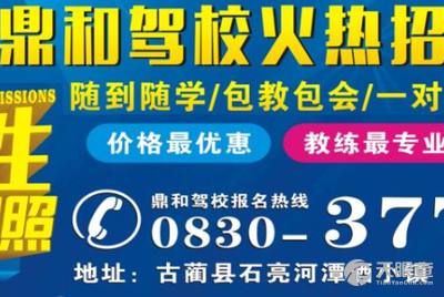 淄川司機招聘信息詳解，應聘指南與步驟全解析