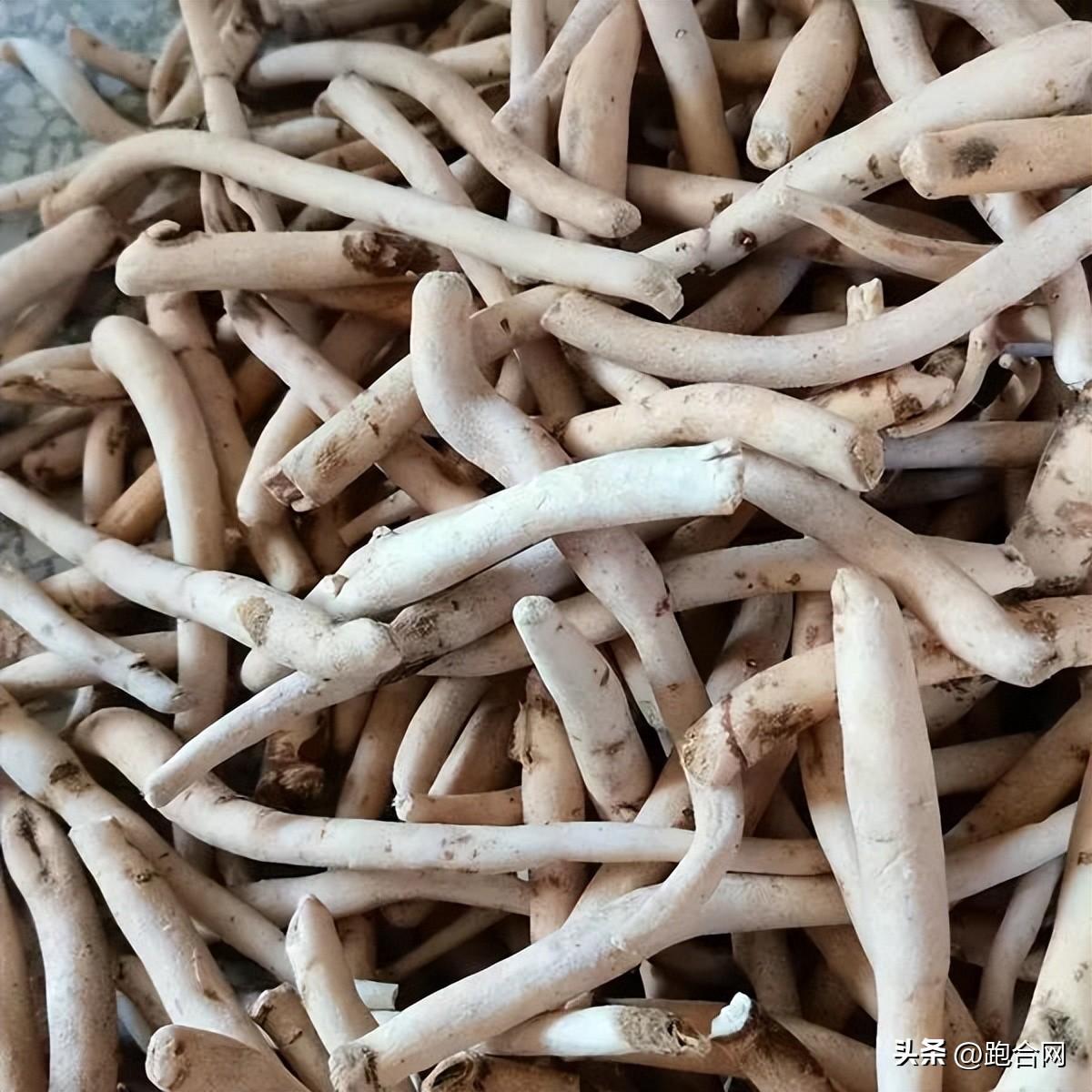 毫州藥材最新價(jià)格表，學(xué)習(xí)變化，成就自信之源