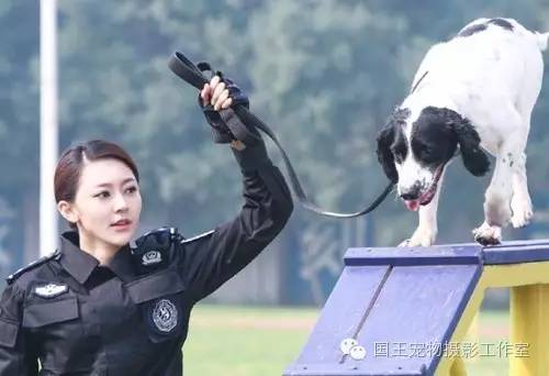 警花與警犬，鐵血柔情演繹真實(shí)警魂的演員們
