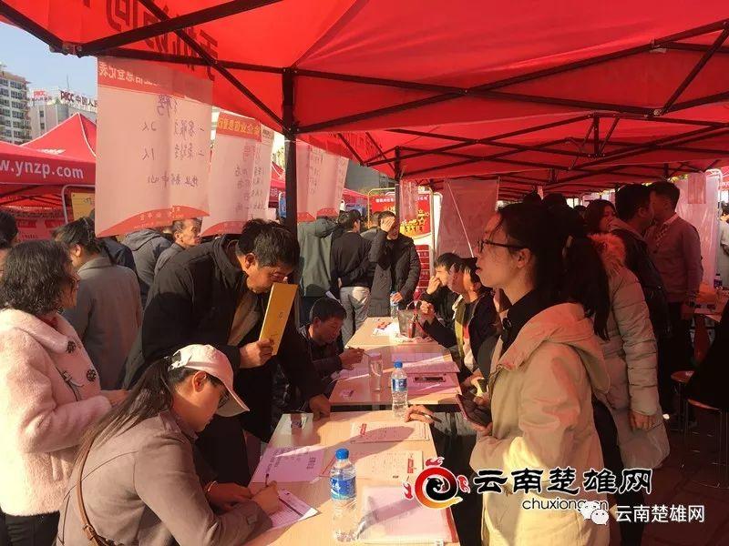 東鄉(xiāng)縣最新招聘資訊，職業(yè)發(fā)展的理想選擇地，尋找人才與機(jī)遇的交匯點(diǎn)