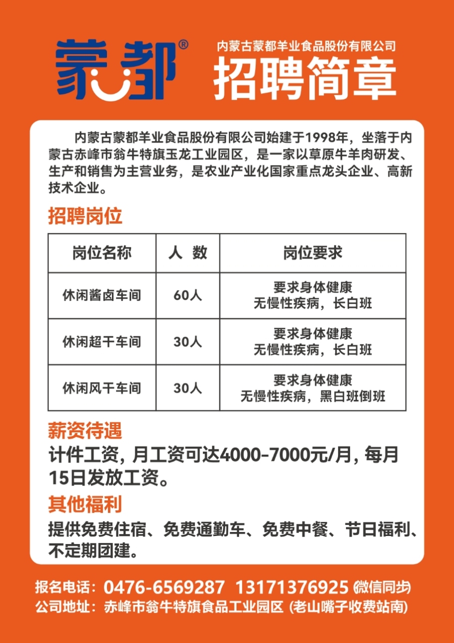 萊蕪金點子最新招聘信息港，科技驅(qū)動職業(yè)夢想，崗位觸手可及