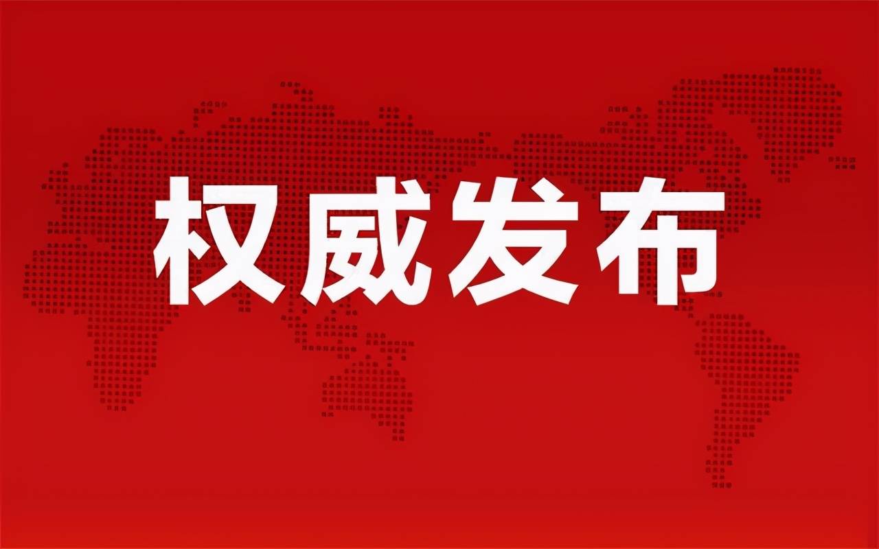 準油股份秦勇最新動態(tài)揭秘，股市之外的小日常趣事揭秘