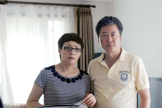 趙寶剛最新電視劇深度解析與探討，新劇探討與探討