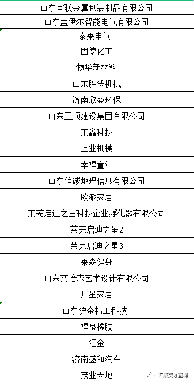 萊蕪金點(diǎn)子招聘，引領(lǐng)科技潮流，打造智能未來生活招聘新體驗(yàn)