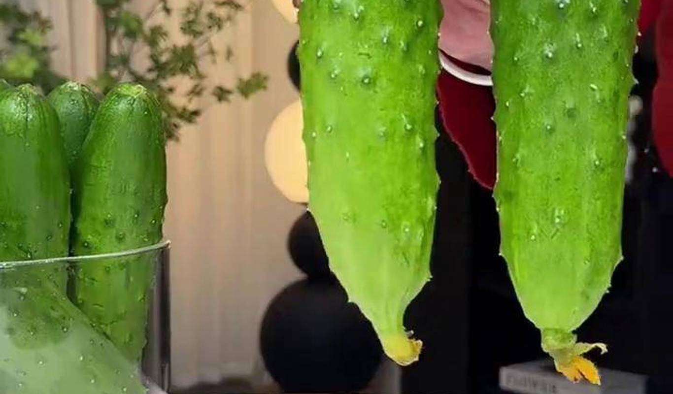 黃瓜視頻下載最新版，時代背景下短視頻巨頭的迅速崛起
