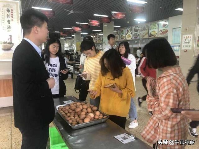 河南洛陽雞蛋最新價(jià)格及分析