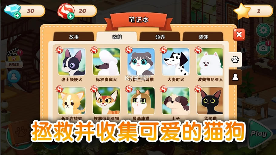 哈啰萌寵開心屋，探索寵物世界的最新樂園